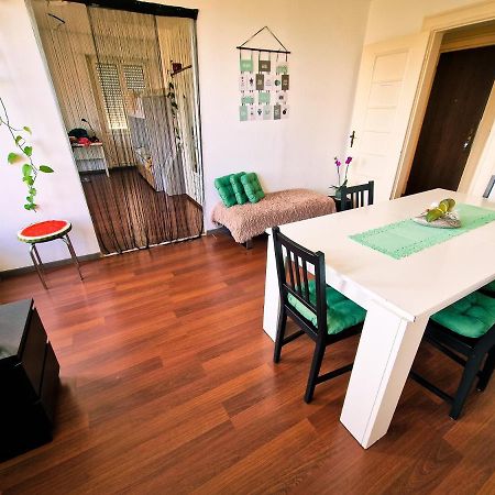 Beautiful Aparment Next To The Border 4 Room 圣路易 外观 照片