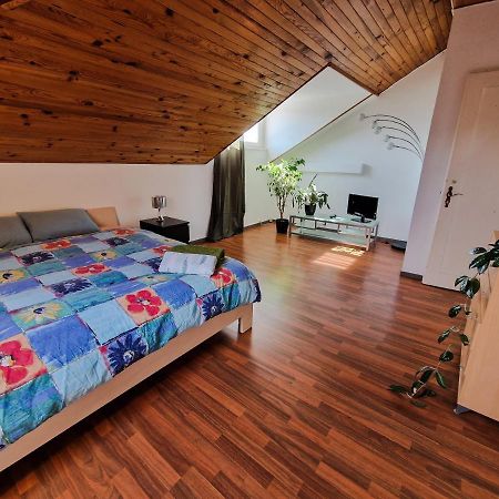 Beautiful Aparment Next To The Border 4 Room 圣路易 外观 照片