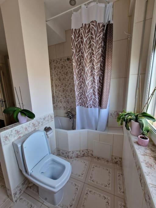 Beautiful Aparment Next To The Border 4 Room 圣路易 外观 照片