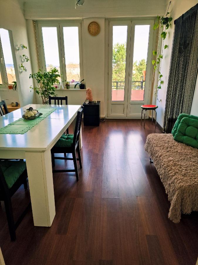 Beautiful Aparment Next To The Border 4 Room 圣路易 外观 照片