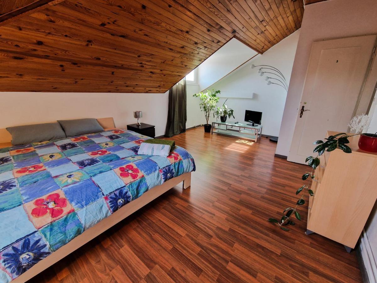Beautiful Aparment Next To The Border 4 Room 圣路易 外观 照片