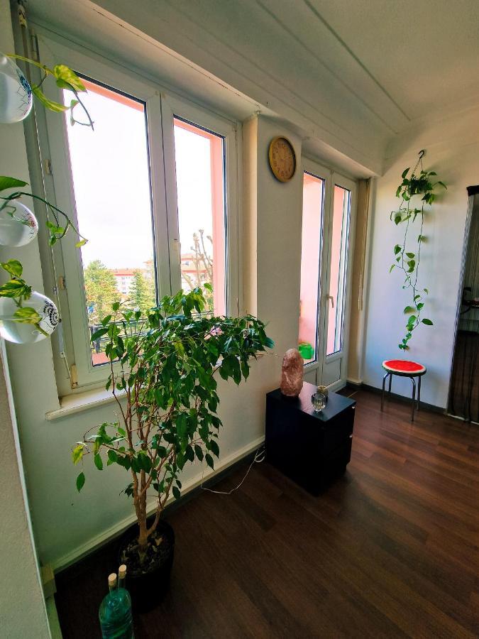 Beautiful Aparment Next To The Border 4 Room 圣路易 外观 照片