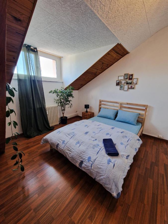 Beautiful Aparment Next To The Border 4 Room 圣路易 外观 照片