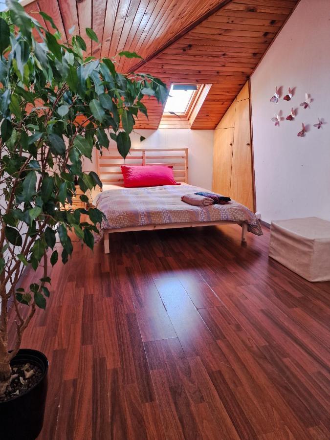 Beautiful Aparment Next To The Border 4 Room 圣路易 外观 照片