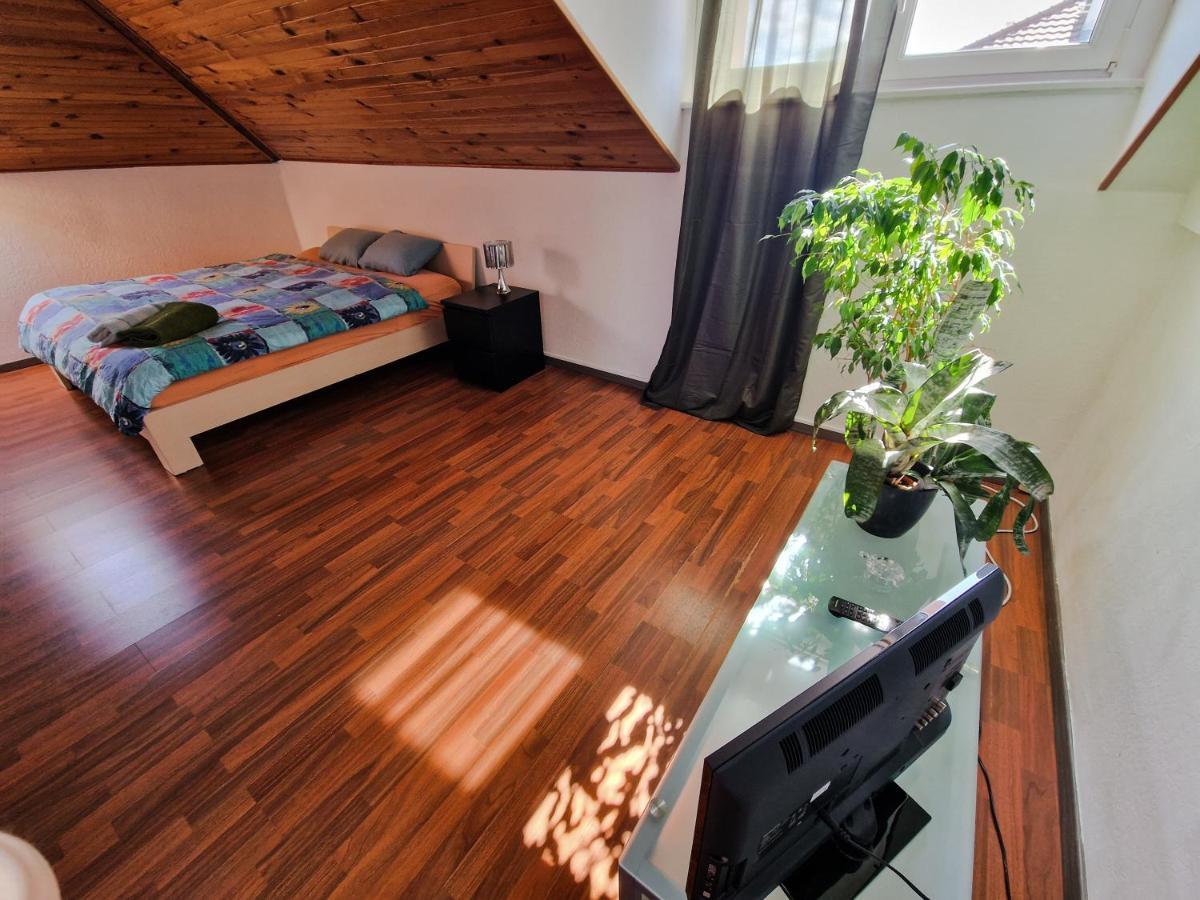 Beautiful Aparment Next To The Border 4 Room 圣路易 外观 照片